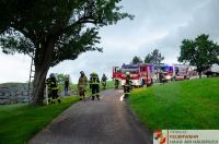 _2024-06-08 Brand Baum Letten-0005